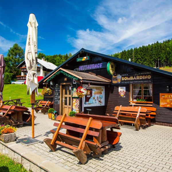 Apartm&aacute;n U Rokytky